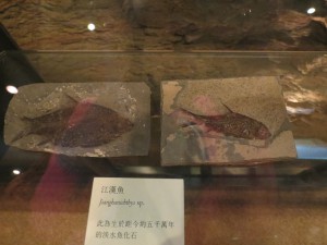 hong-kong-museums_025