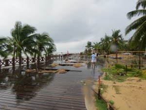 typhoon-haiyan_39