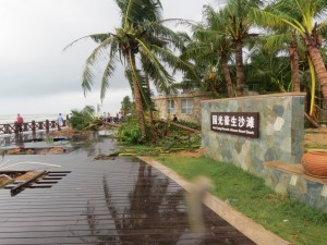 typhoon-haiyan_41